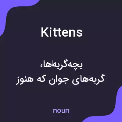 معنی kittens به فارسی معنی kittens به فارسی