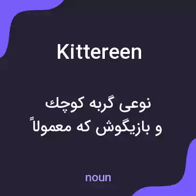 معنی kittereen به فارسی معنی kittereen به فارسی