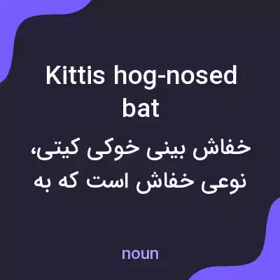 معنی kittis hog-nosed bat به فارسی معنی kittis hog-nosed bat به فارسی