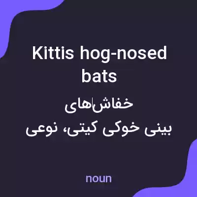 معنی kittis hog-nosed bats به فارسی معنی kittis hog-nosed bats به فارسی