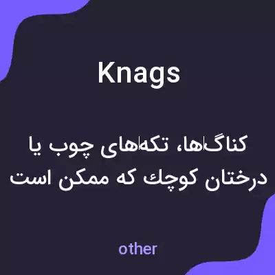 معنی knags به فارسی معنی knags به فارسی