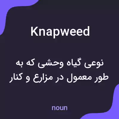 معنی knapweed به فارسی معنی knapweed به فارسی