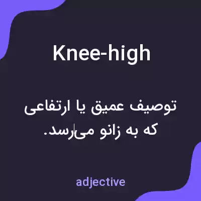 معنی knee-high به فارسی معنی knee-high به فارسی