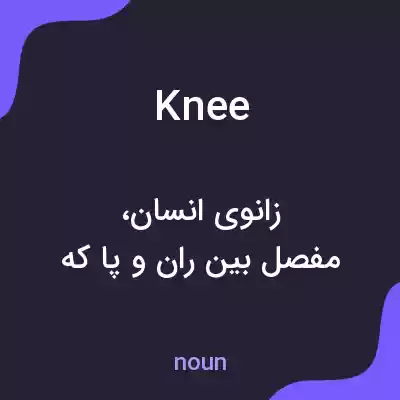معنی knee به فارسی معنی knee به فارسی
