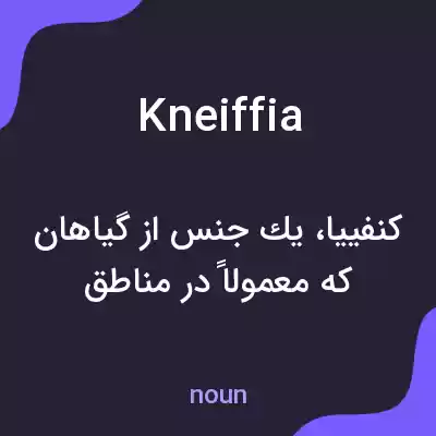 معنی kneiffia به فارسی معنی kneiffia به فارسی