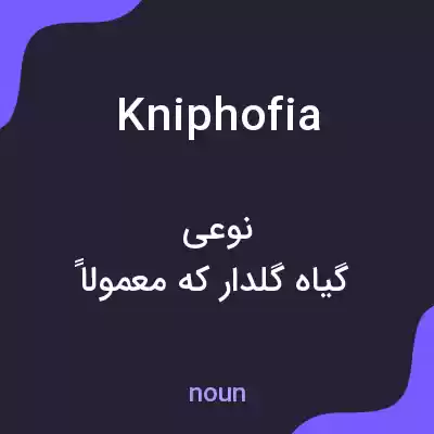 معنی kniphofia به فارسی معنی kniphofia به فارسی