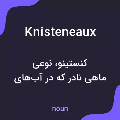 معنی knisteneaux به فارسی معنی knisteneaux به فارسی