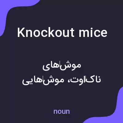 معنی knockout mice به فارسی معنی knockout mice به فارسی