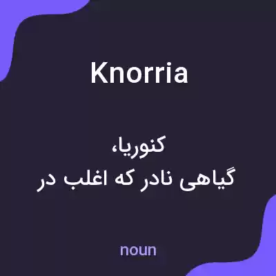 معنی knorria به فارسی معنی knorria به فارسی