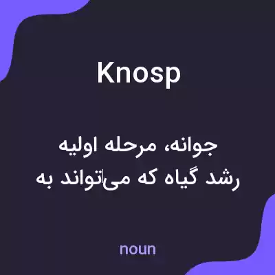معنی knosp به فارسی معنی knosp به فارسی
