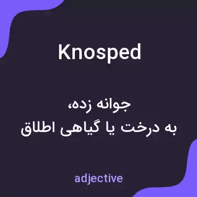معنی knosped به فارسی معنی knosped به فارسی