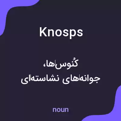 معنی knosps به فارسی معنی knosps به فارسی