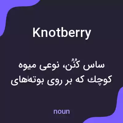 معنی knotberry به فارسی معنی knotberry به فارسی
