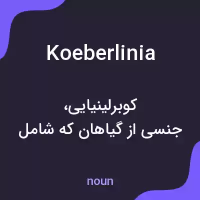 معنی koeberlinia به فارسی معنی koeberlinia به فارسی