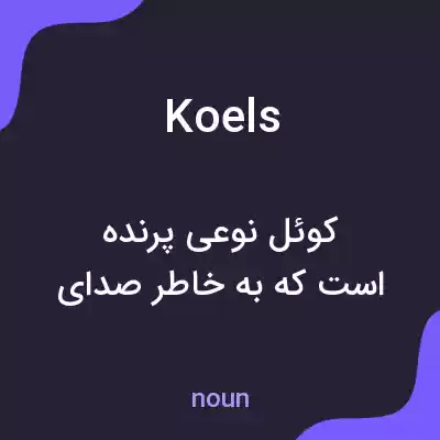 معنی koels به فارسی معنی koels به فارسی