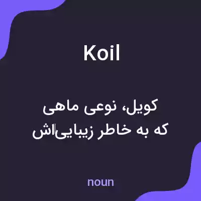معنی koil به فارسی