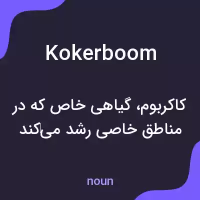 معنی kokerboom به فارسی معنی kokerboom به فارسی