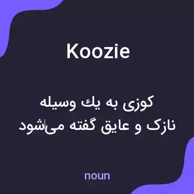معنی koozie به فارسی
