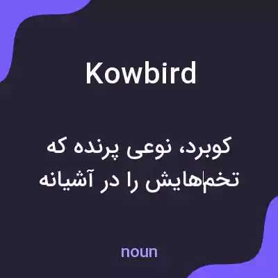 معنی kowbird به فارسی معنی kowbird به فارسی