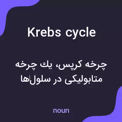 معنی krebs cycle به فارسی معنی krebs cycle به فارسی