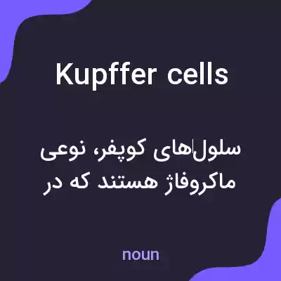 معنی kupffer cells به فارسی معنی kupffer cells به فارسی