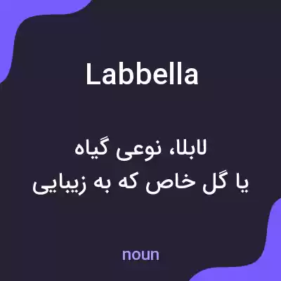 معنی labbella به فارسی معنی labbella به فارسی