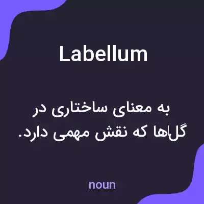 معنی labellum به فارسی معنی labellum به فارسی