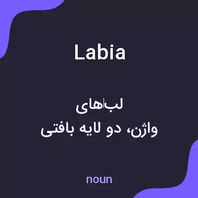 معنی labia به فارسی معنی labia به فارسی