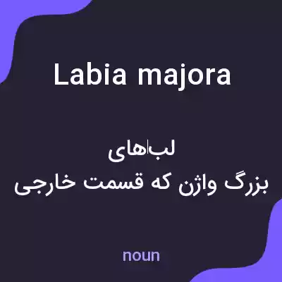 معنی labia majora به فارسی معنی labia majora به فارسی