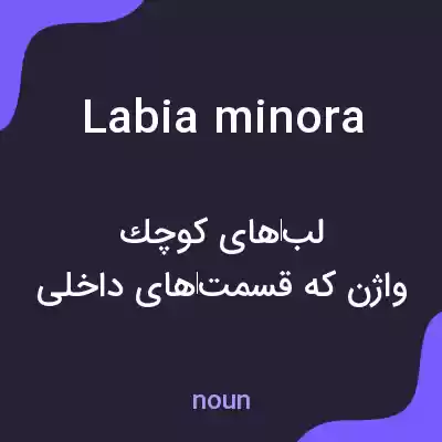 معنی labia minora به فارسی معنی labia minora به فارسی