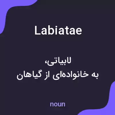 معنی labiatae به فارسی معنی labiatae به فارسی