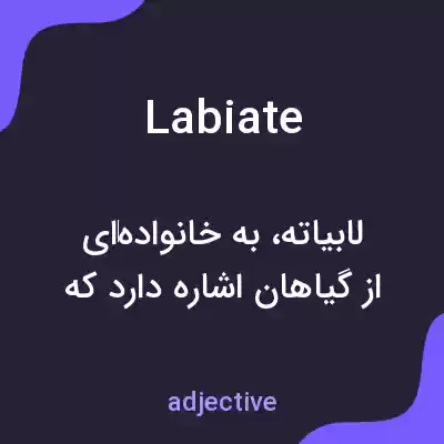 معنی labiate به فارسی معنی labiate به فارسی