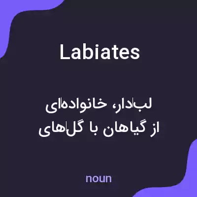 معنی labiates به فارسی معنی labiates به فارسی