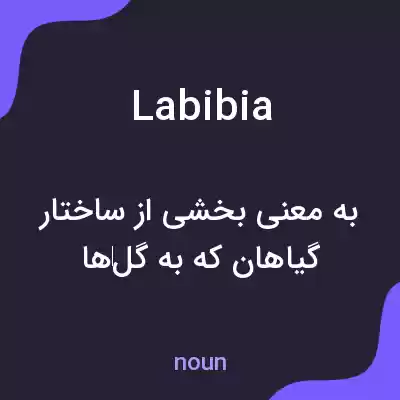 معنی labibia به فارسی معنی labibia به فارسی
