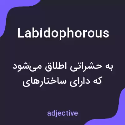 معنی labidophorous به فارسی معنی labidophorous به فارسی