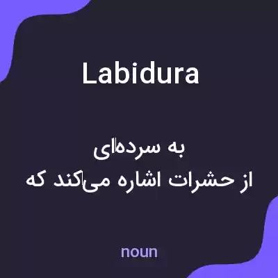 معنی labidura به فارسی معنی labidura به فارسی