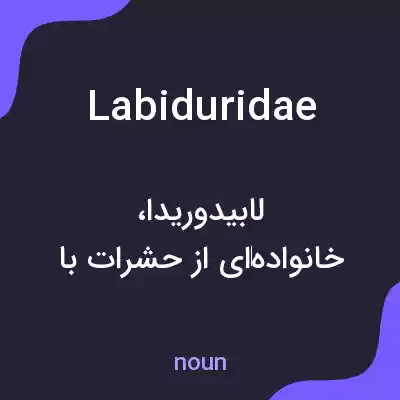 معنی labiduridae به فارسی معنی labiduridae به فارسی