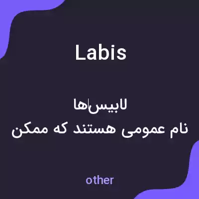 معنی labis به فارسی معنی labis به فارسی