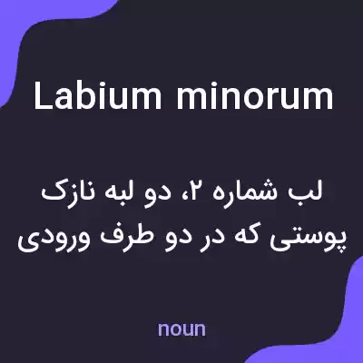 معنی labium minorum به فارسی معنی labium minorum به فارسی