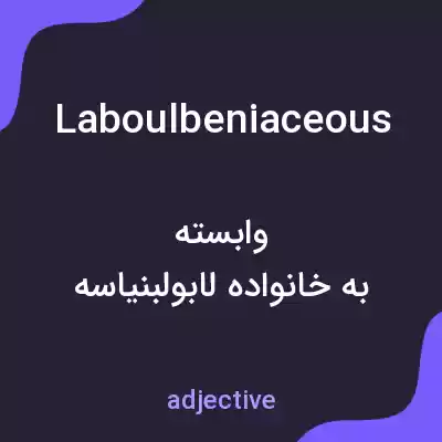 معنی laboulbeniaceous به فارسی معنی laboulbeniaceous به فارسی
