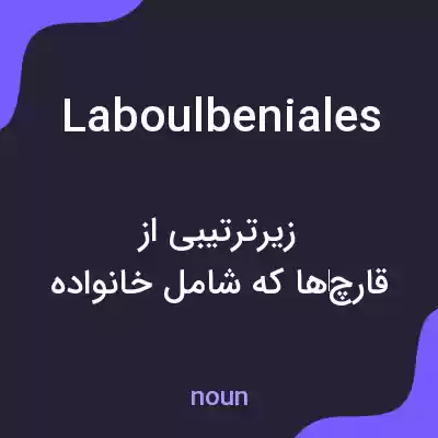 معنی laboulbeniales به فارسی معنی laboulbeniales به فارسی