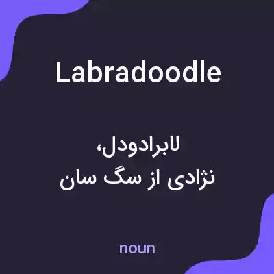 معنی labradoodle به فارسی معنی labradoodle به فارسی