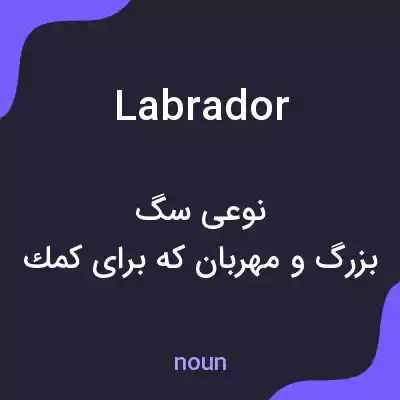 معنی labrador به فارسی معنی labrador به فارسی