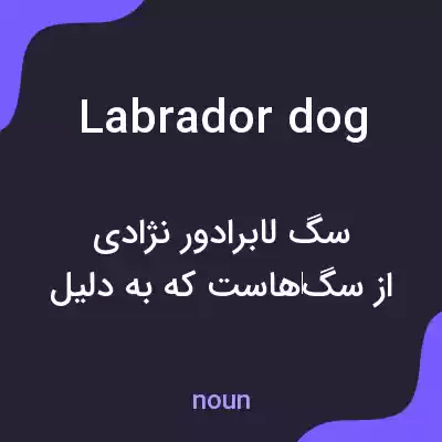 معنی labrador dog به فارسی