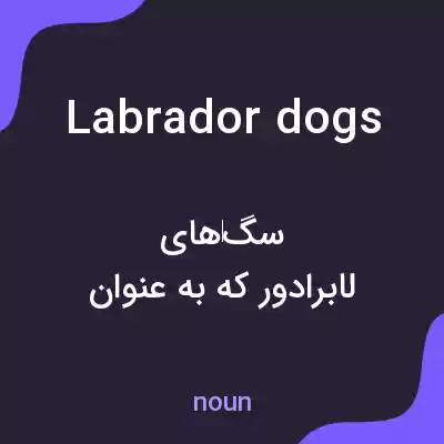 معنی labrador dogs به فارسی معنی labrador dogs به فارسی