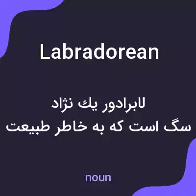 معنی labradorean به فارسی معنی labradorean به فارسی