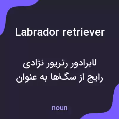 معنی labrador retriever به فارسی معنی labrador retriever به فارسی