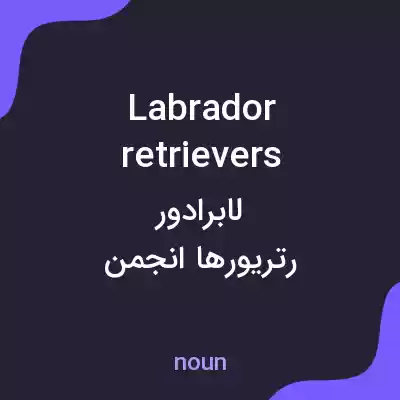 معنی labrador retrievers به فارسی معنی labrador retrievers به فارسی