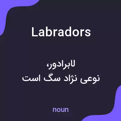 معنی labradors به فارسی معنی labradors به فارسی
