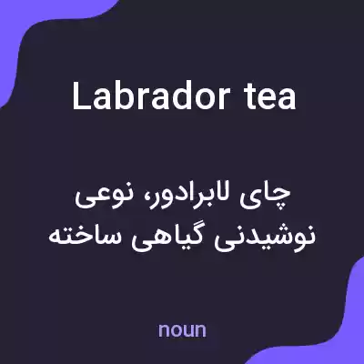 معنی labrador tea به فارسی معنی labrador tea به فارسی